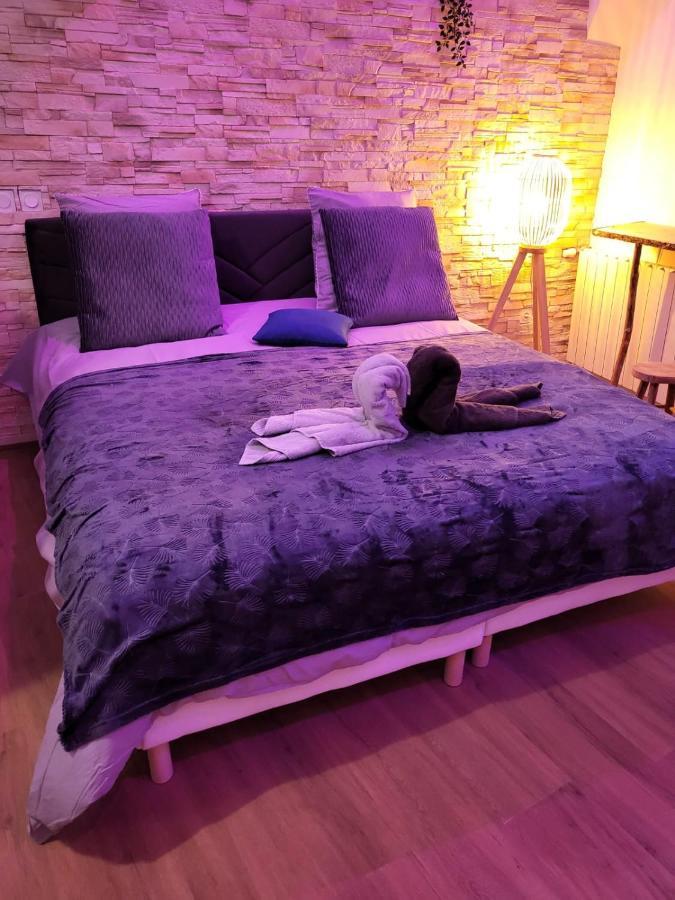 Le Spa De La Cathedrale - Jacuzzi - Sauna - Champagne - Netflix - Wifi Troyes Bagian luar foto