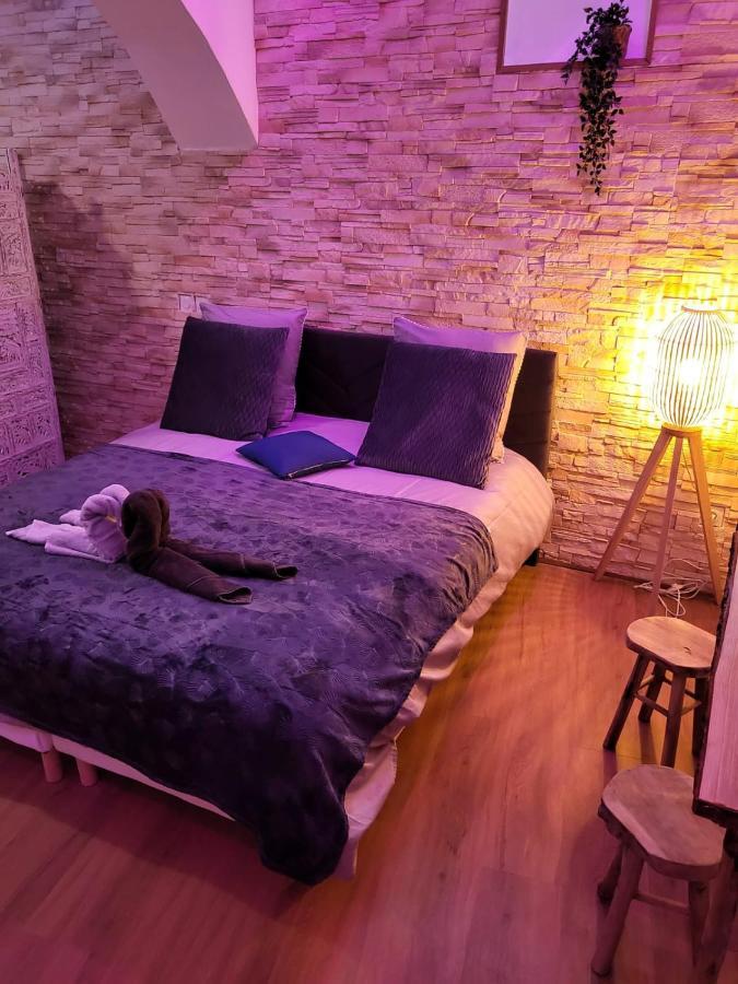 Le Spa De La Cathedrale - Jacuzzi - Sauna - Champagne - Netflix - Wifi Troyes Bagian luar foto