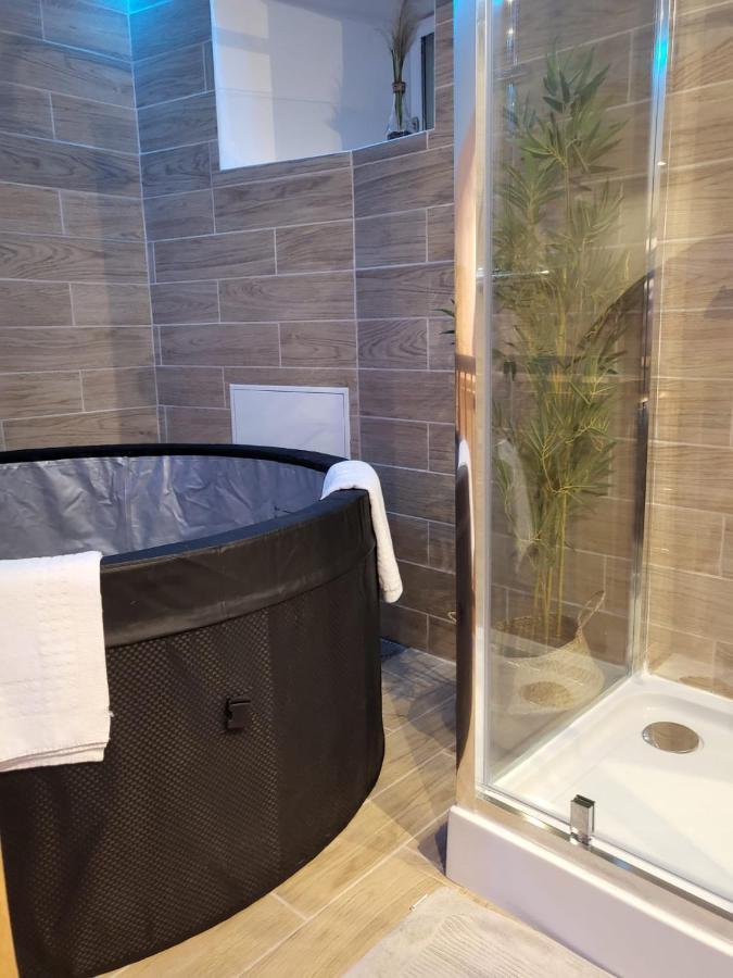 Le Spa De La Cathedrale - Jacuzzi - Sauna - Champagne - Netflix - Wifi Troyes Bagian luar foto
