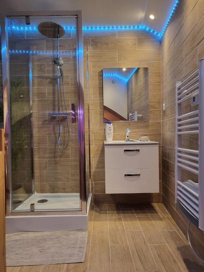 Le Spa De La Cathedrale - Jacuzzi - Sauna - Champagne - Netflix - Wifi Troyes Bagian luar foto