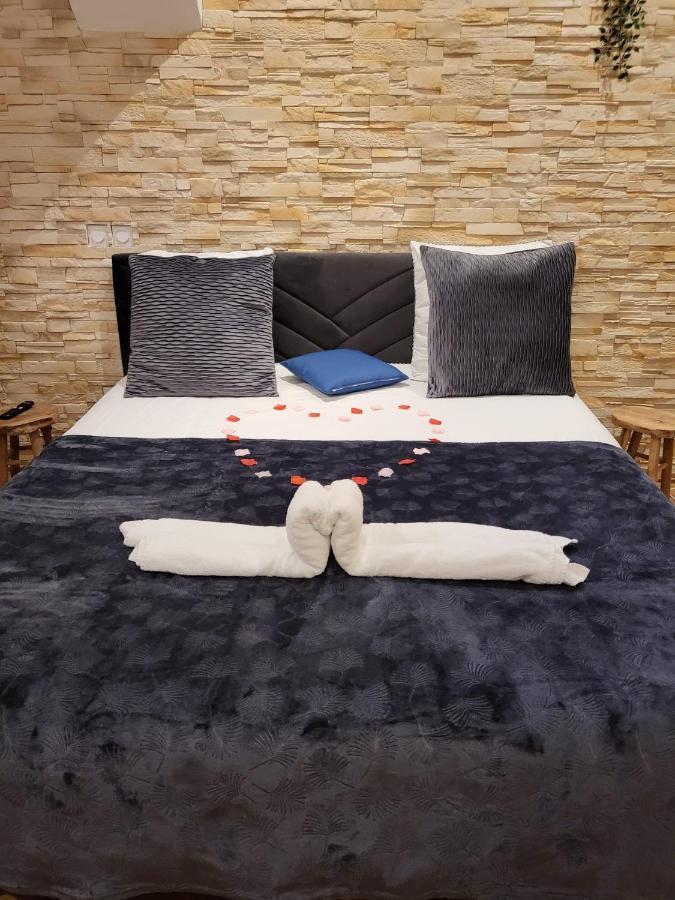 Le Spa De La Cathedrale - Jacuzzi - Sauna - Champagne - Netflix - Wifi Troyes Bagian luar foto